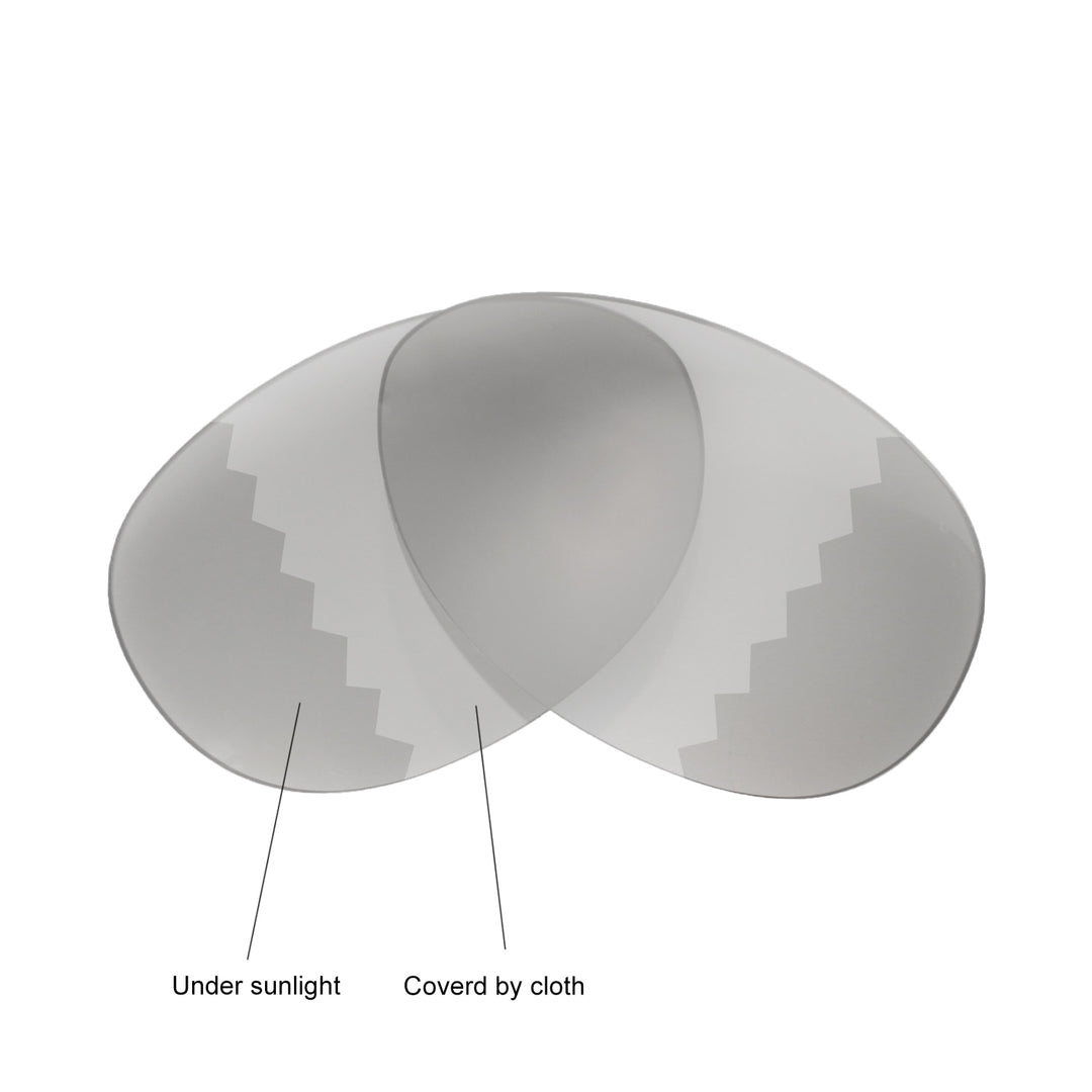 Transition Polarized