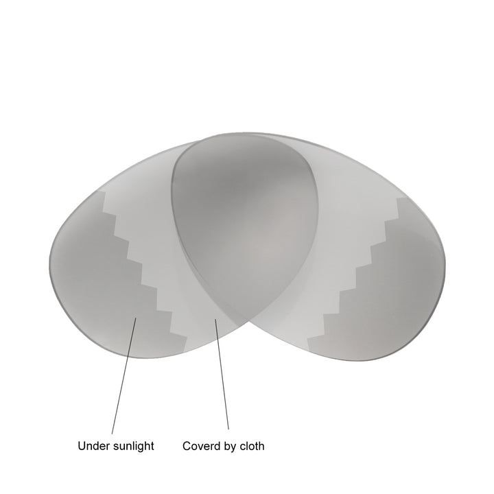 Transition Polarized