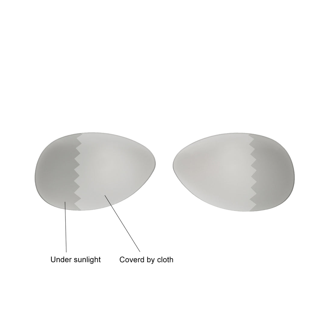 Transition Polarized