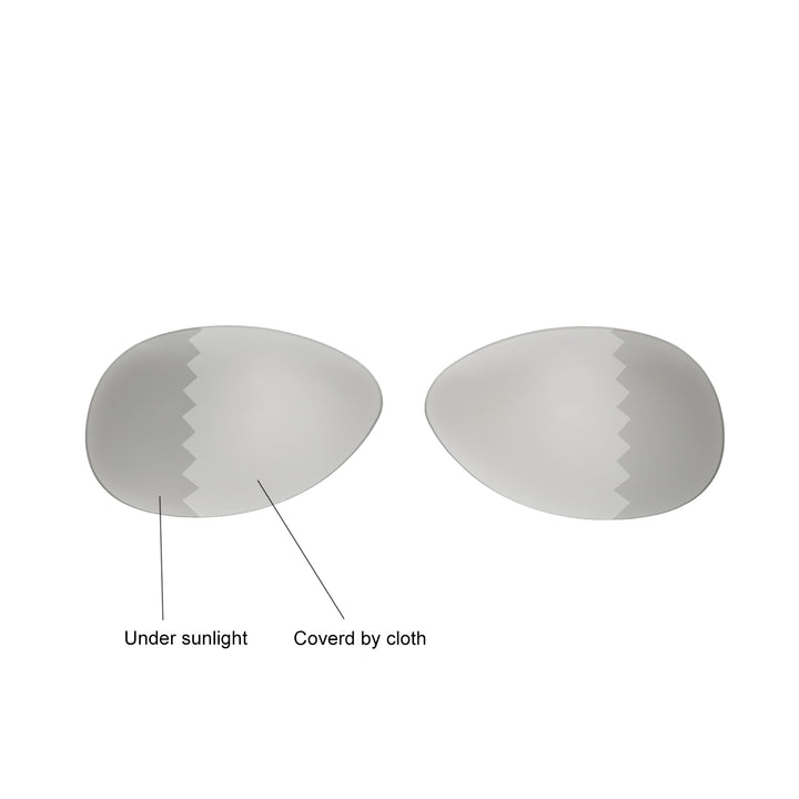 Transition Polarized
