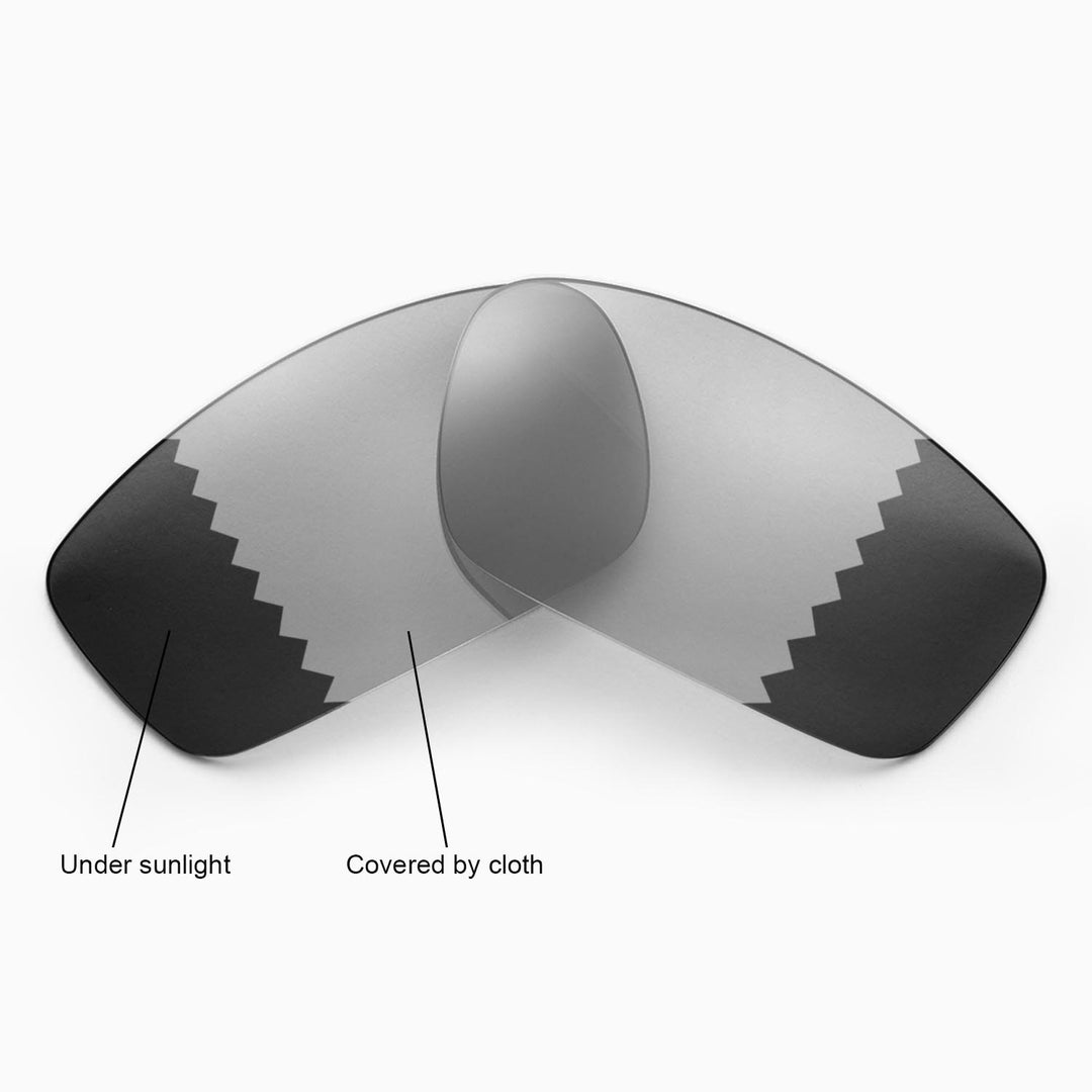 Transition Polarized