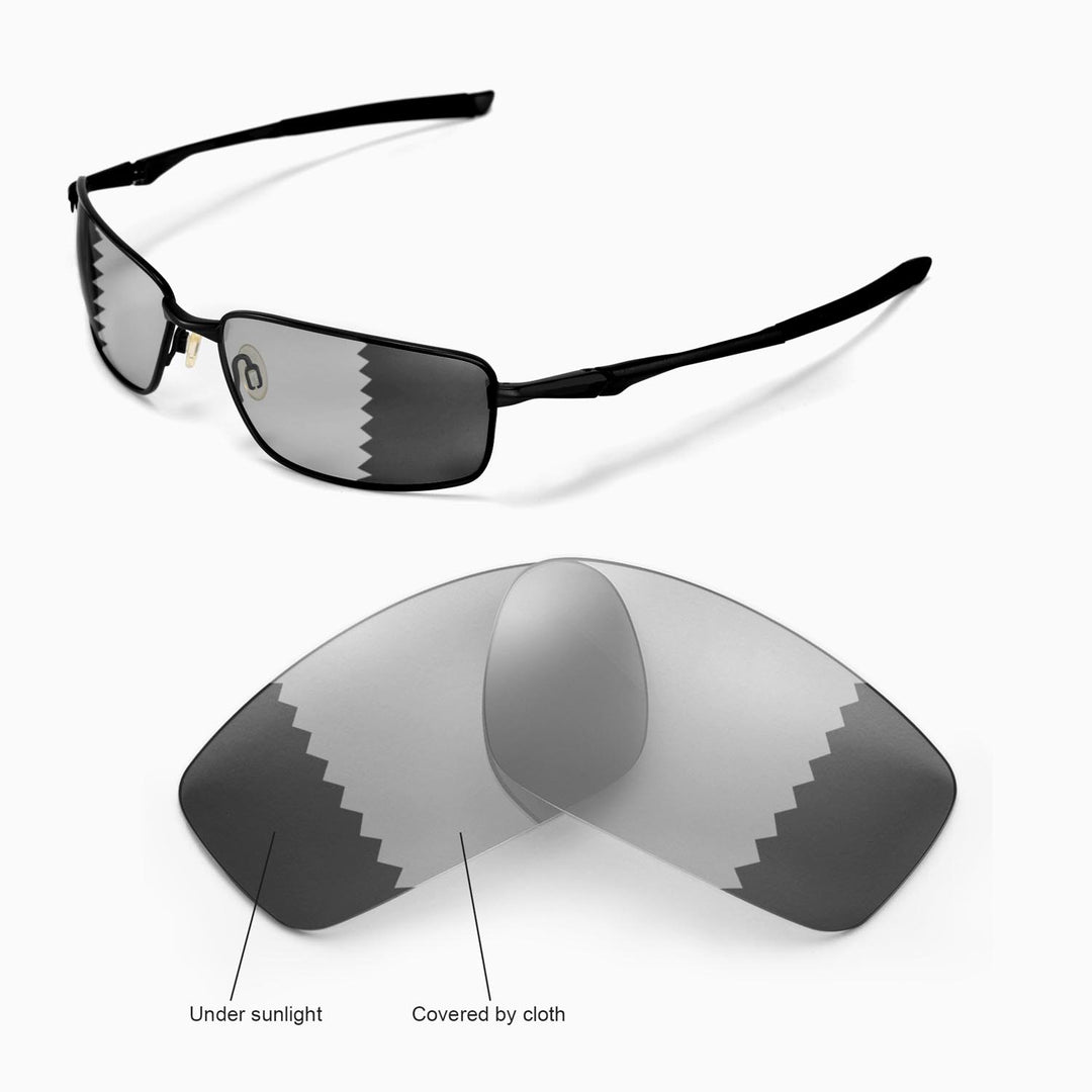 Transition Polarized