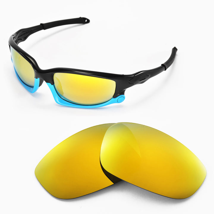 24K Gold Polarized