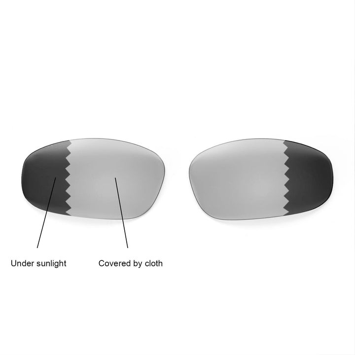 Transition Polarized