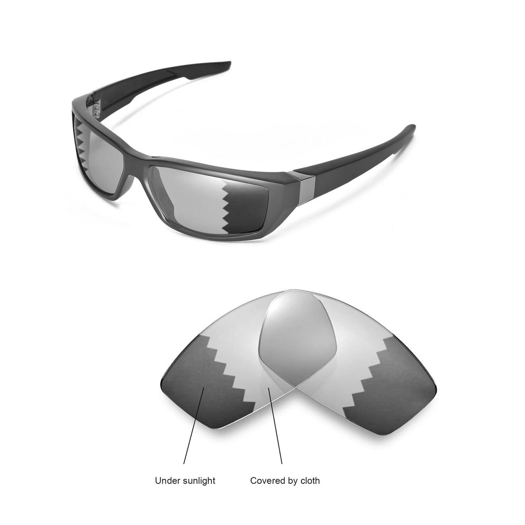 Transition Polarized