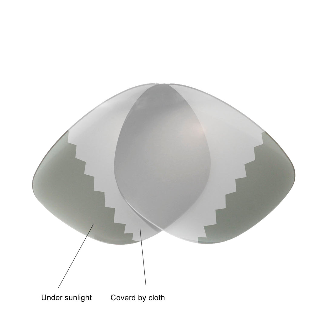 Transition Polarized