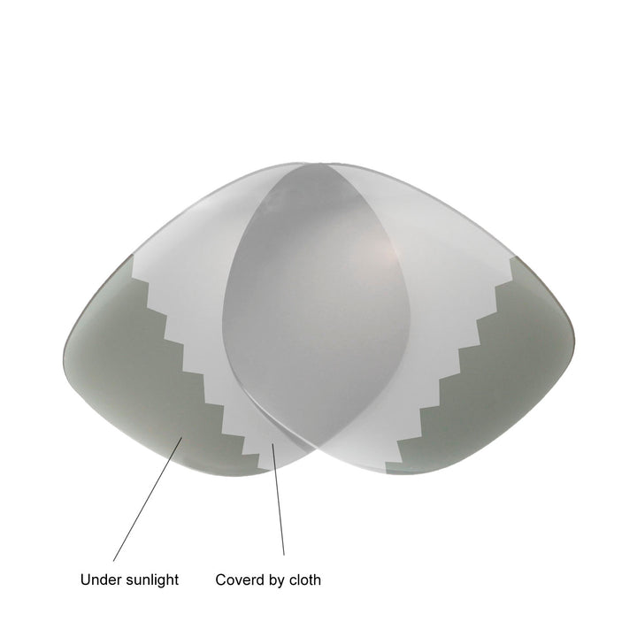 Transition Polarized