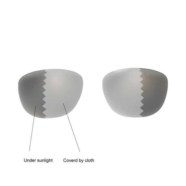 Transition Polarized