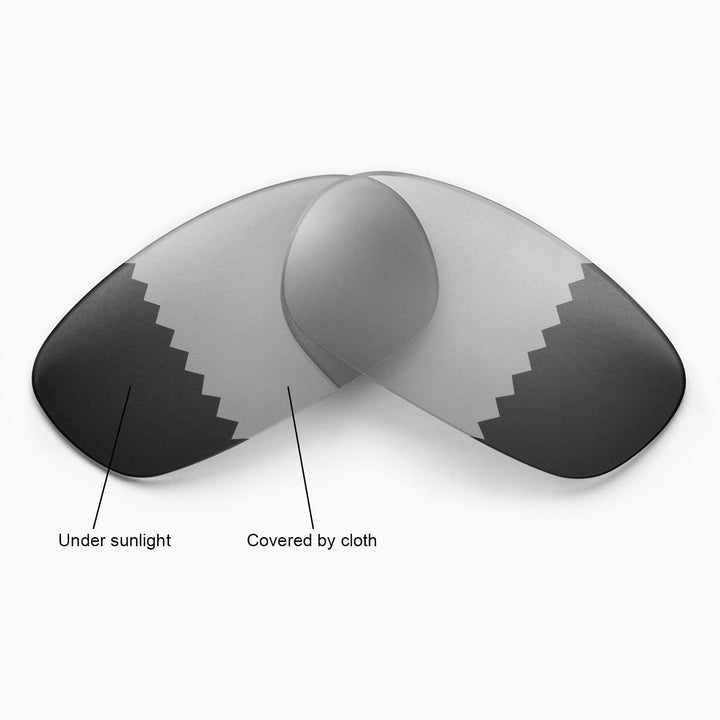 Transition Polarized