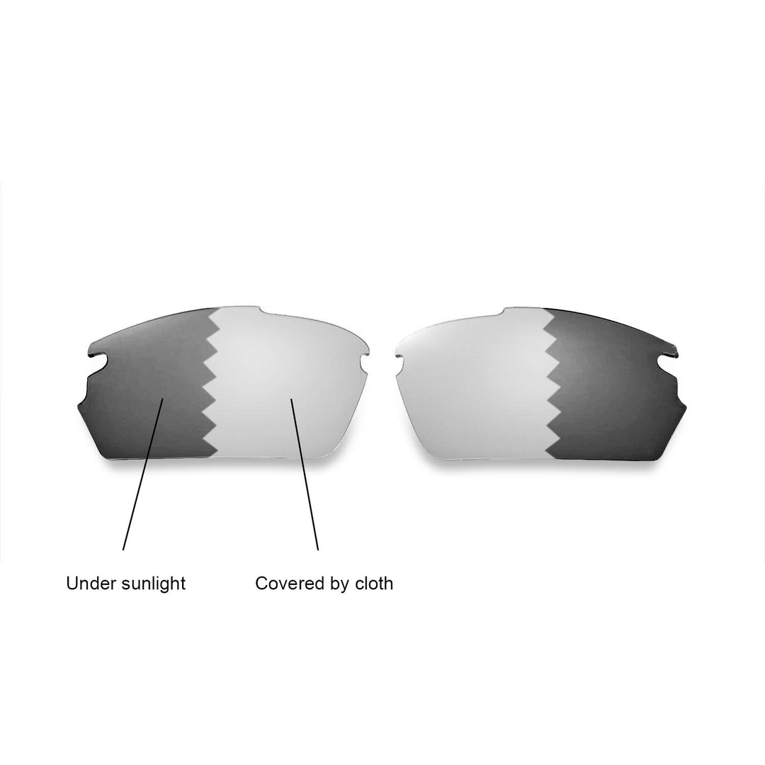 Transition Polarized