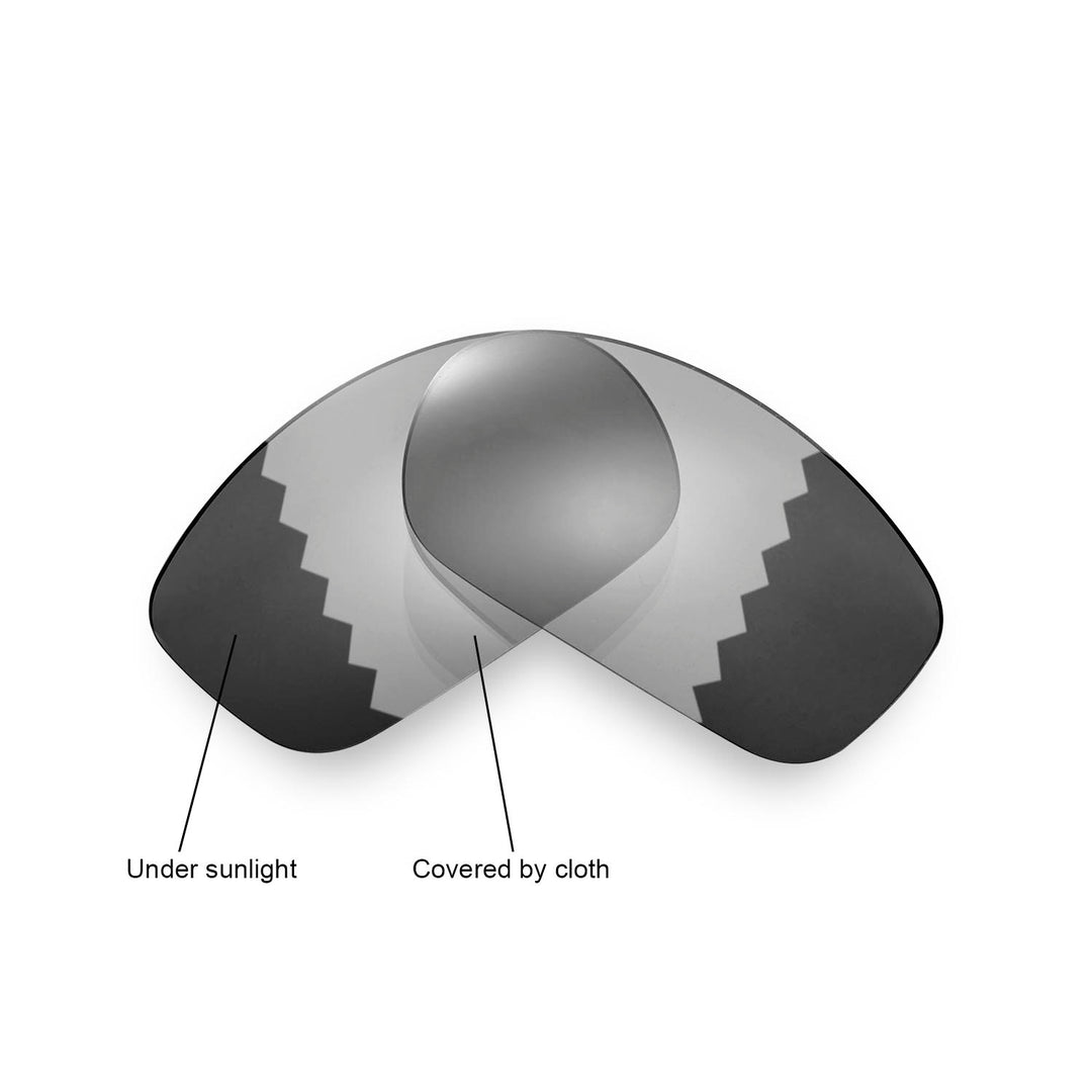 Transition Polarized