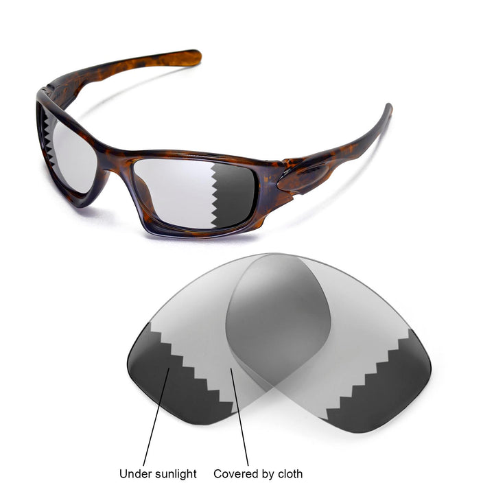 Transition Polarized