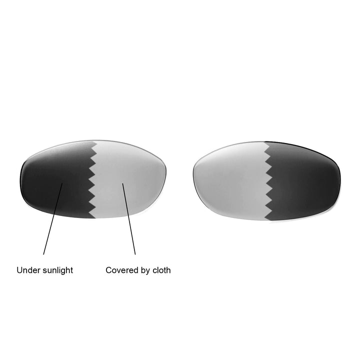 Transition Polarized