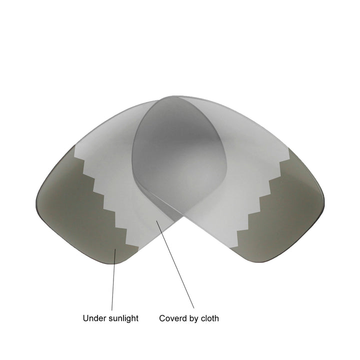 Transition Polarized