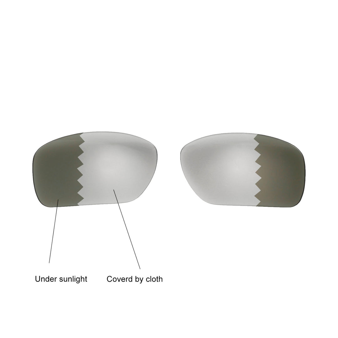 Transition Polarized