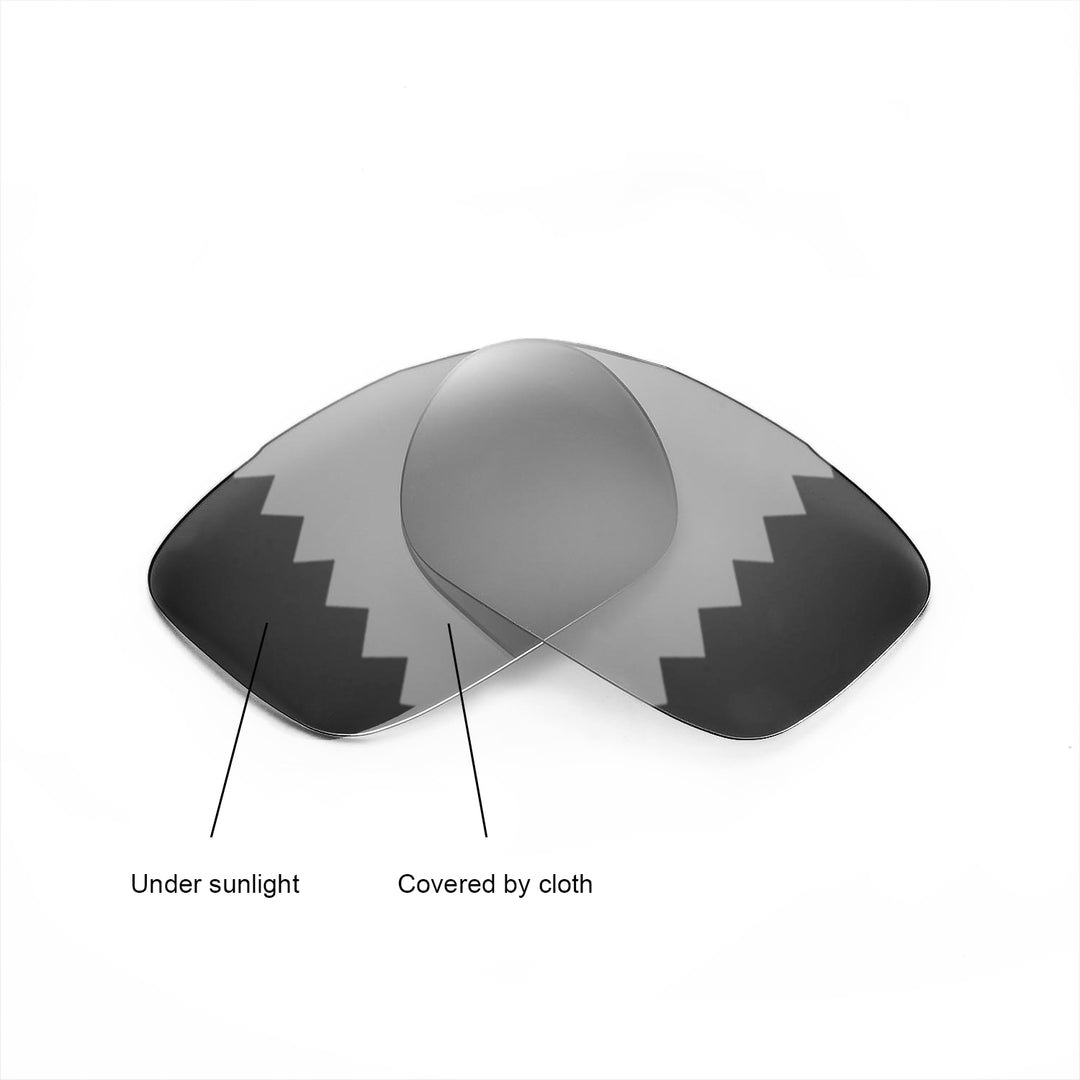 Transition Polarized