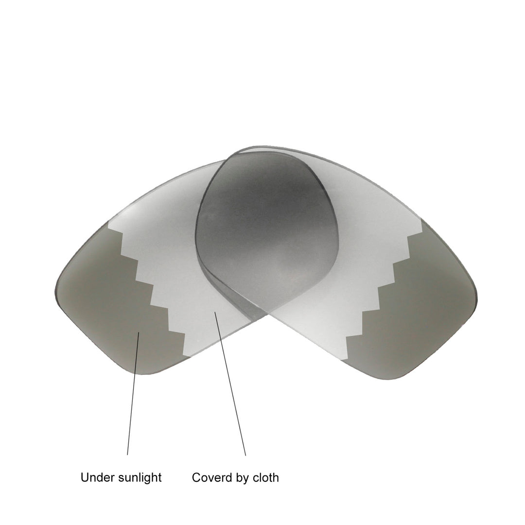 Transition Polarized