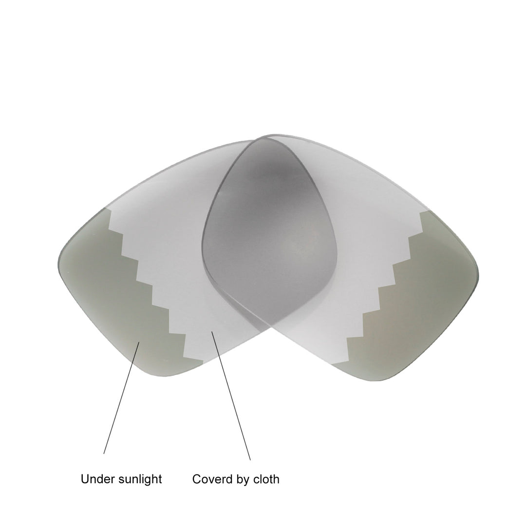 Transition Polarized