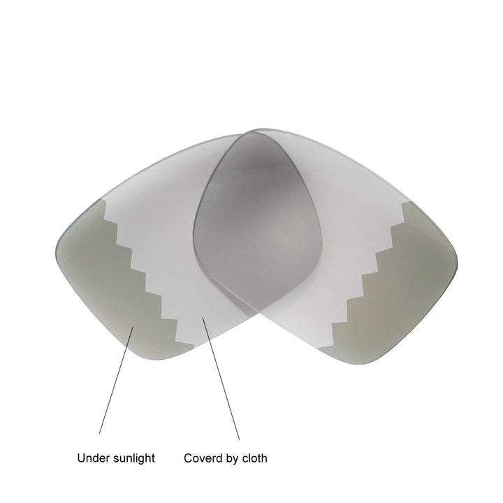 Transition Polarized