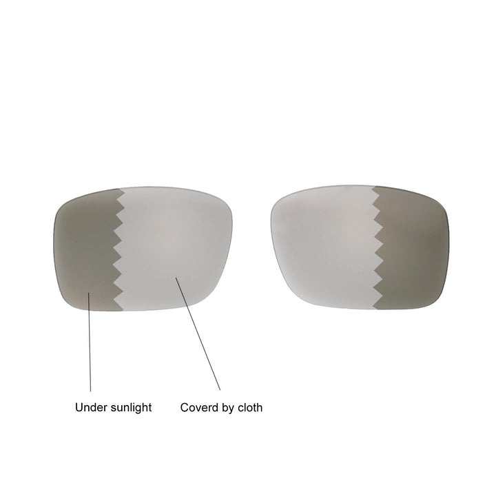 Transition Polarized