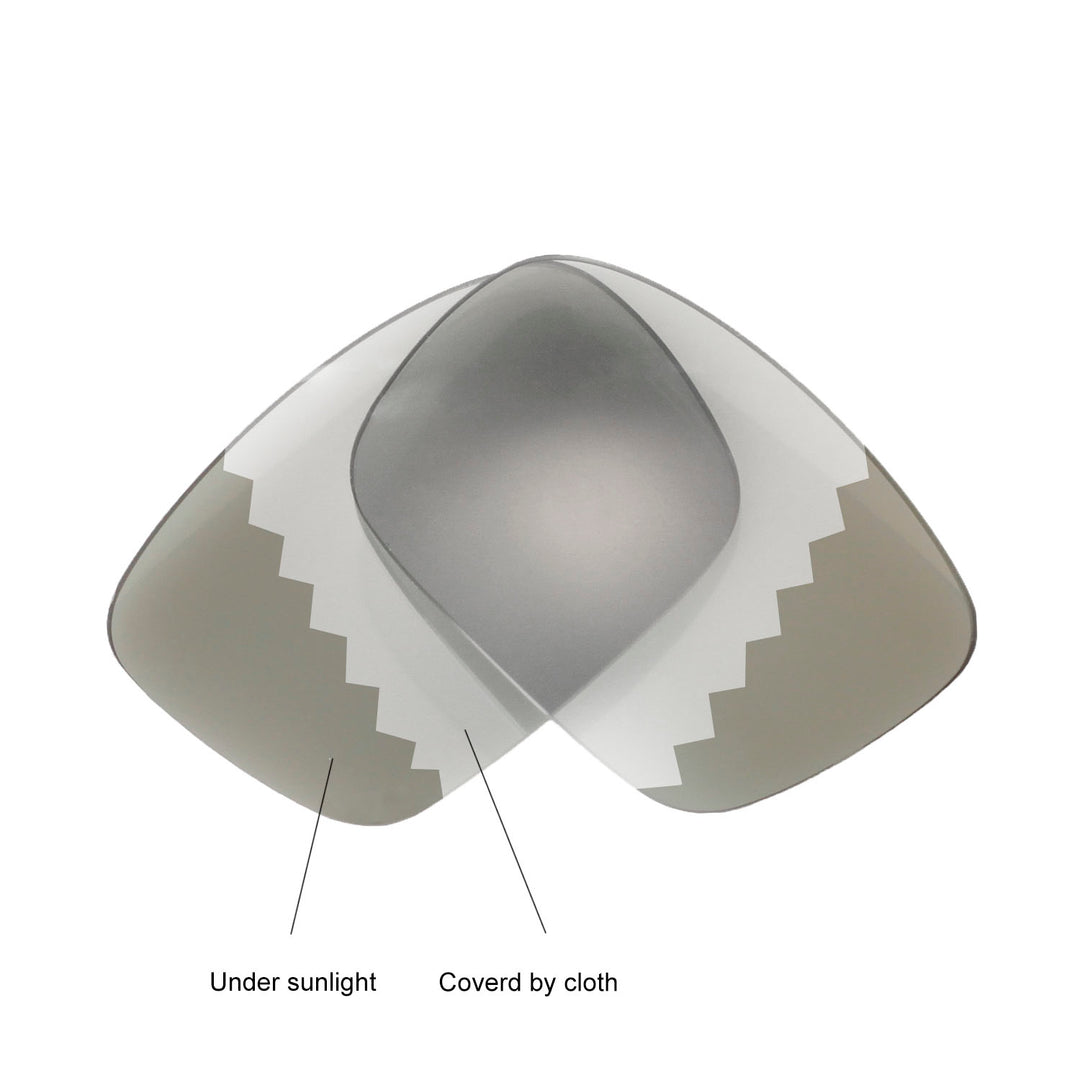 Transition Polarized