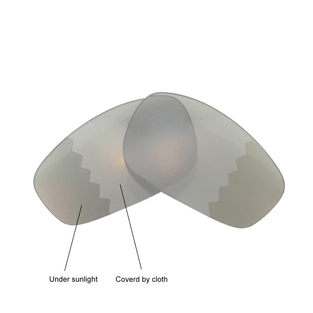 Transition Polarized