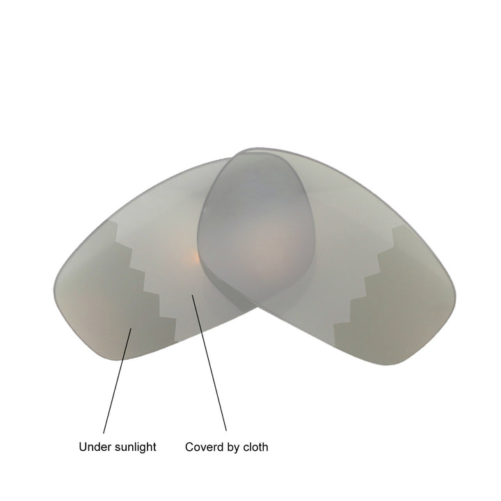 Transition Polarized