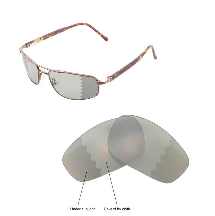 Transition Polarized