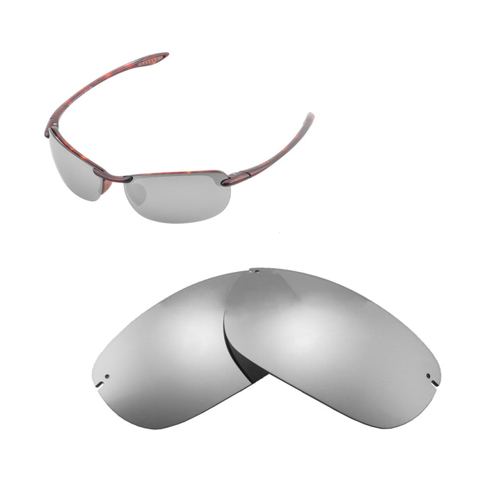 Titanium ISARC Polarized