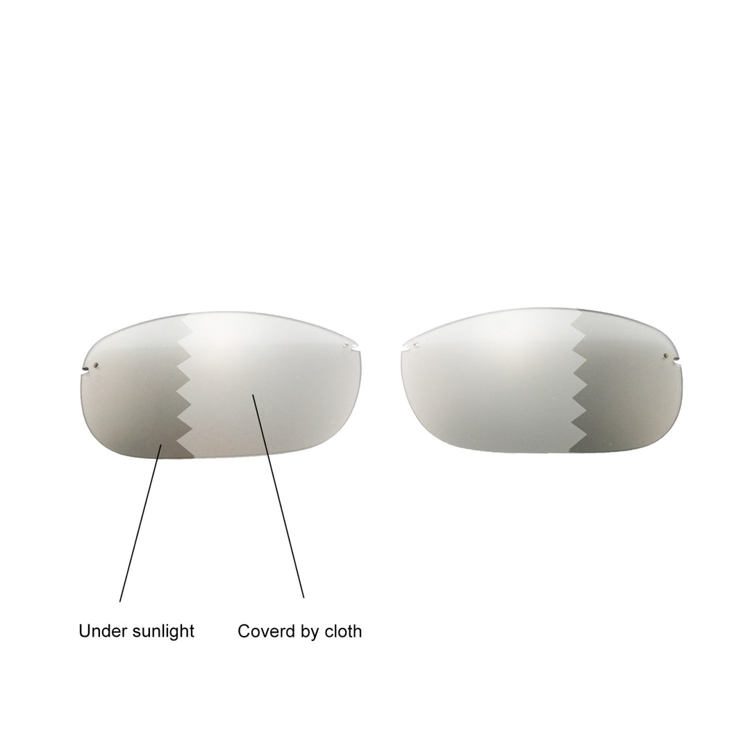 Transition Polarized