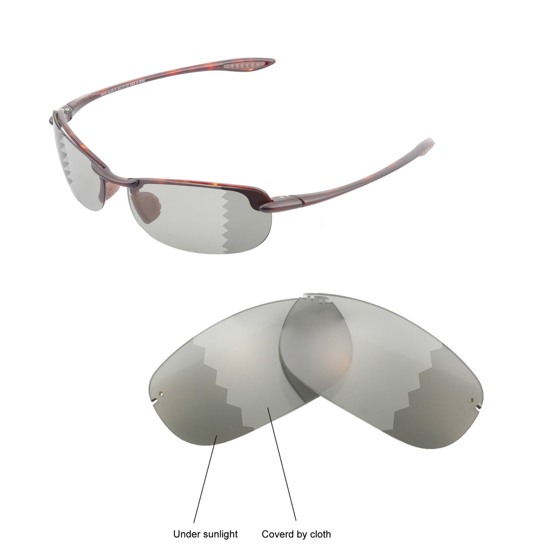 Transition Polarized