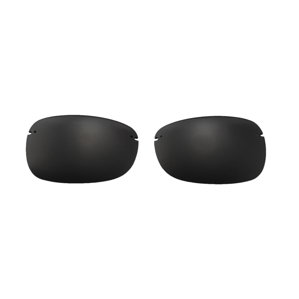 Black Polarized#color_black