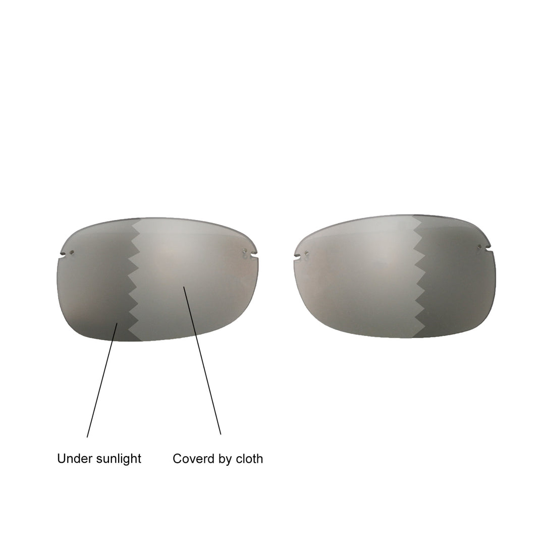 Transition Polarized