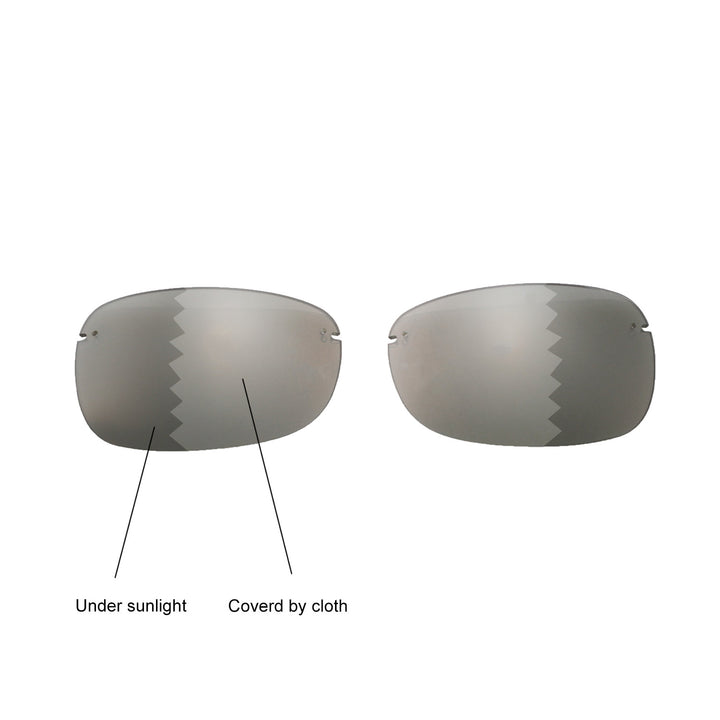 Transition Polarized