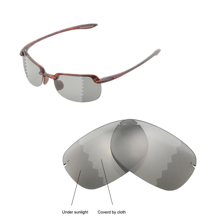 Transition Polarized