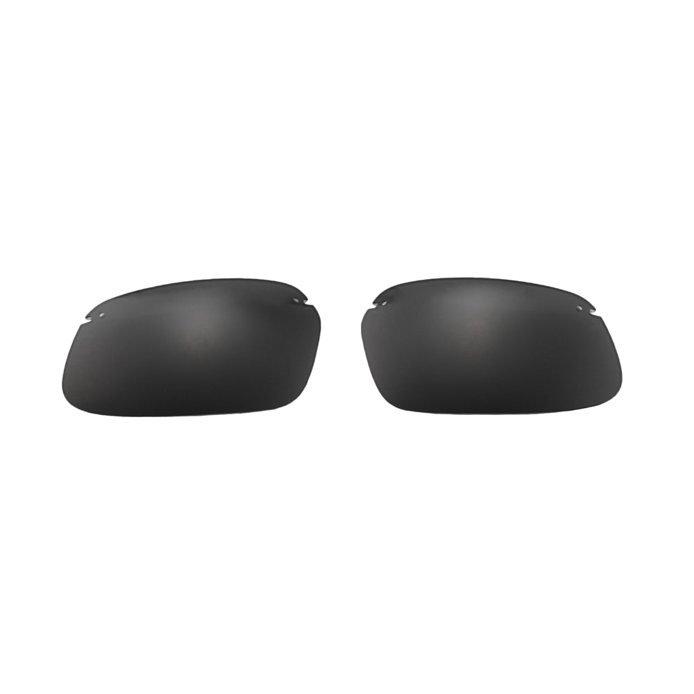 Black Polarized#color_black