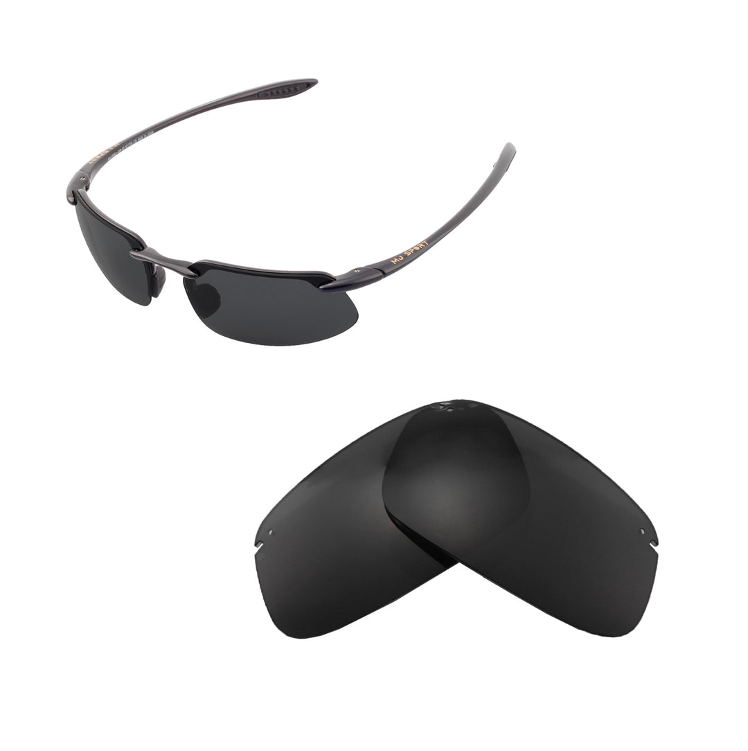Black ISARC Polarized