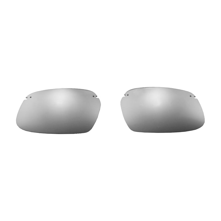 Titanium ISARC Polarized