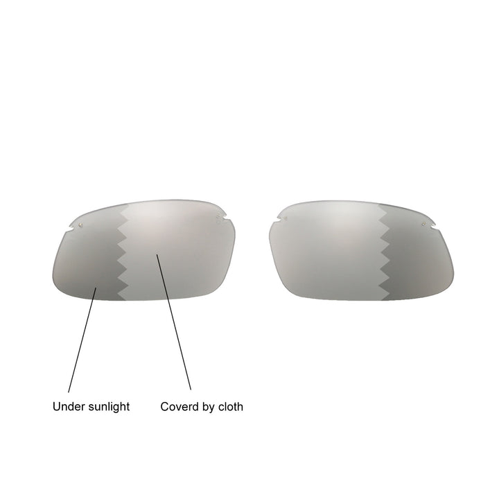 Transition Polarized