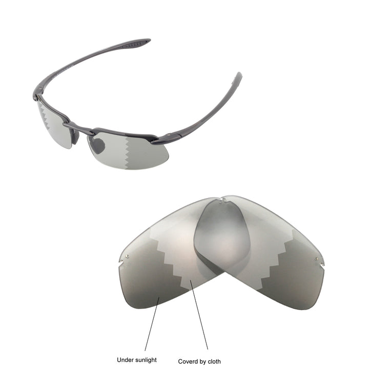 Transition Polarized