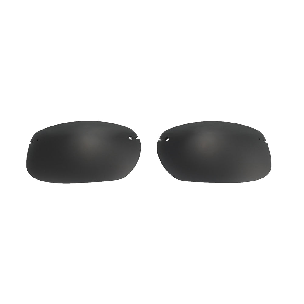 Black Polarized#color_black