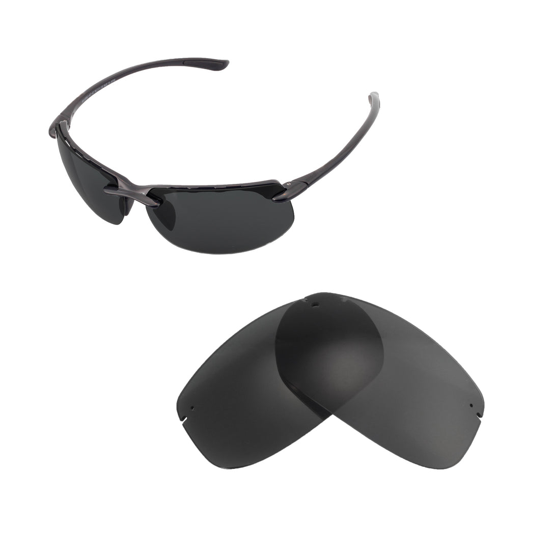 Black ISARC Polarized