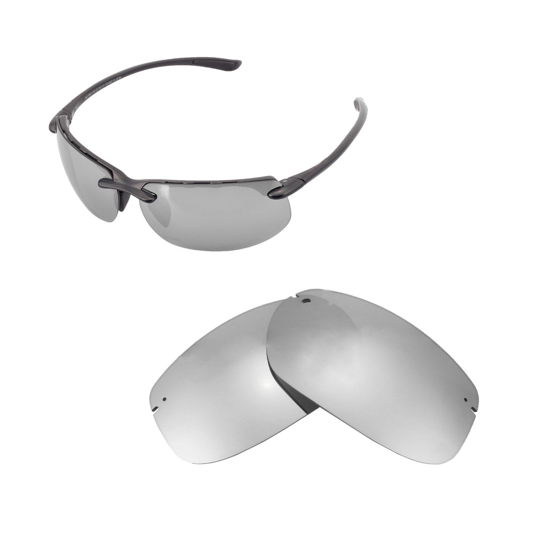 Titanium ISARC Polarized