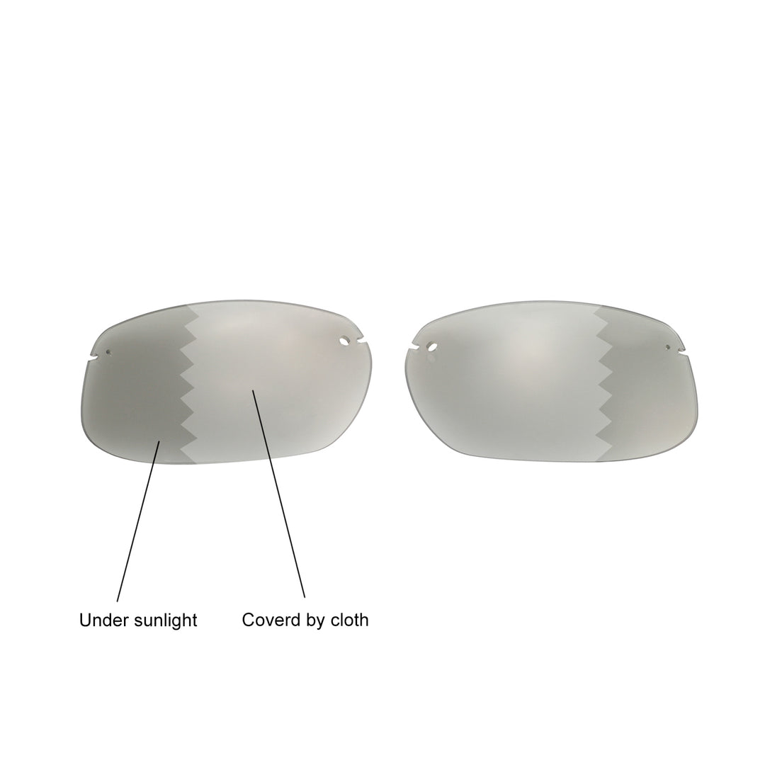 Transition Polarized