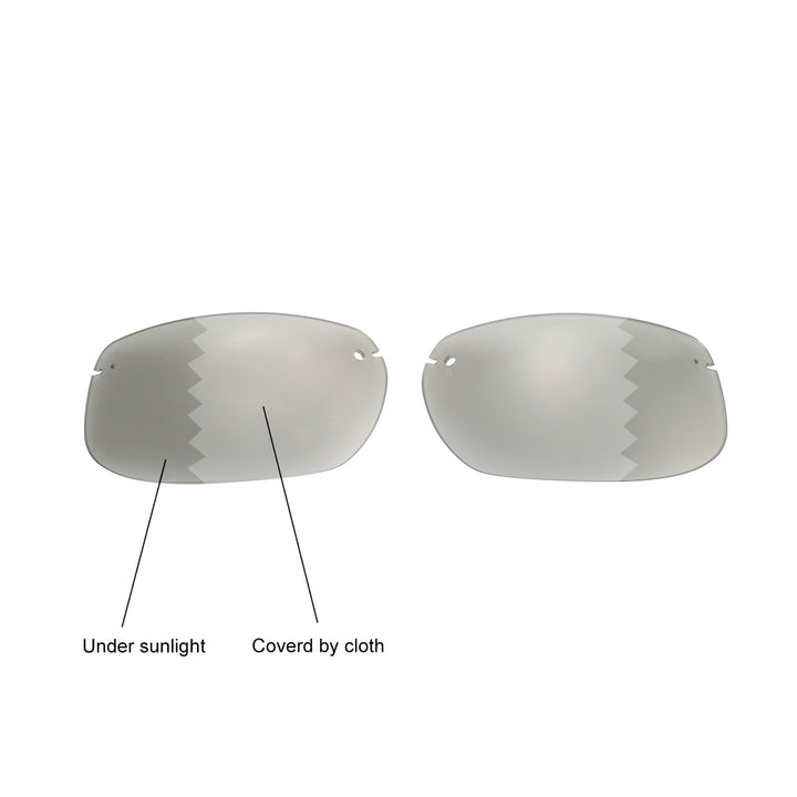 Transition Polarized