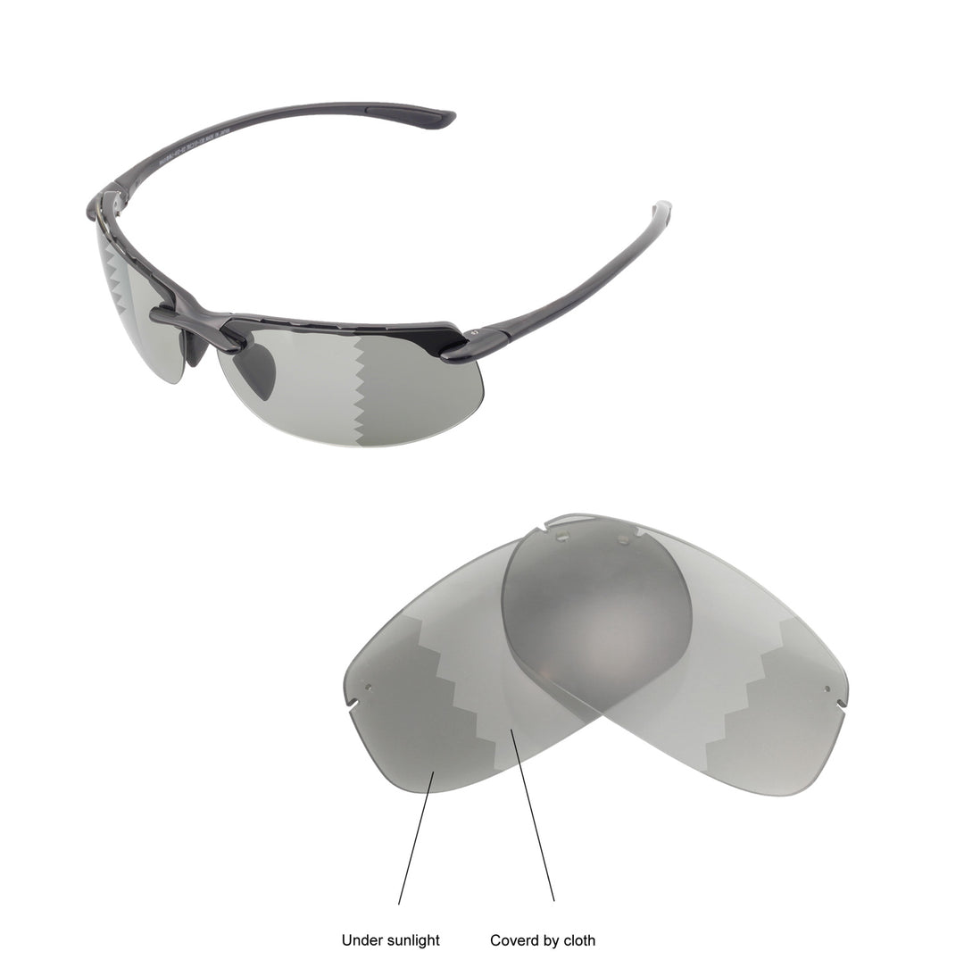Transition Polarized