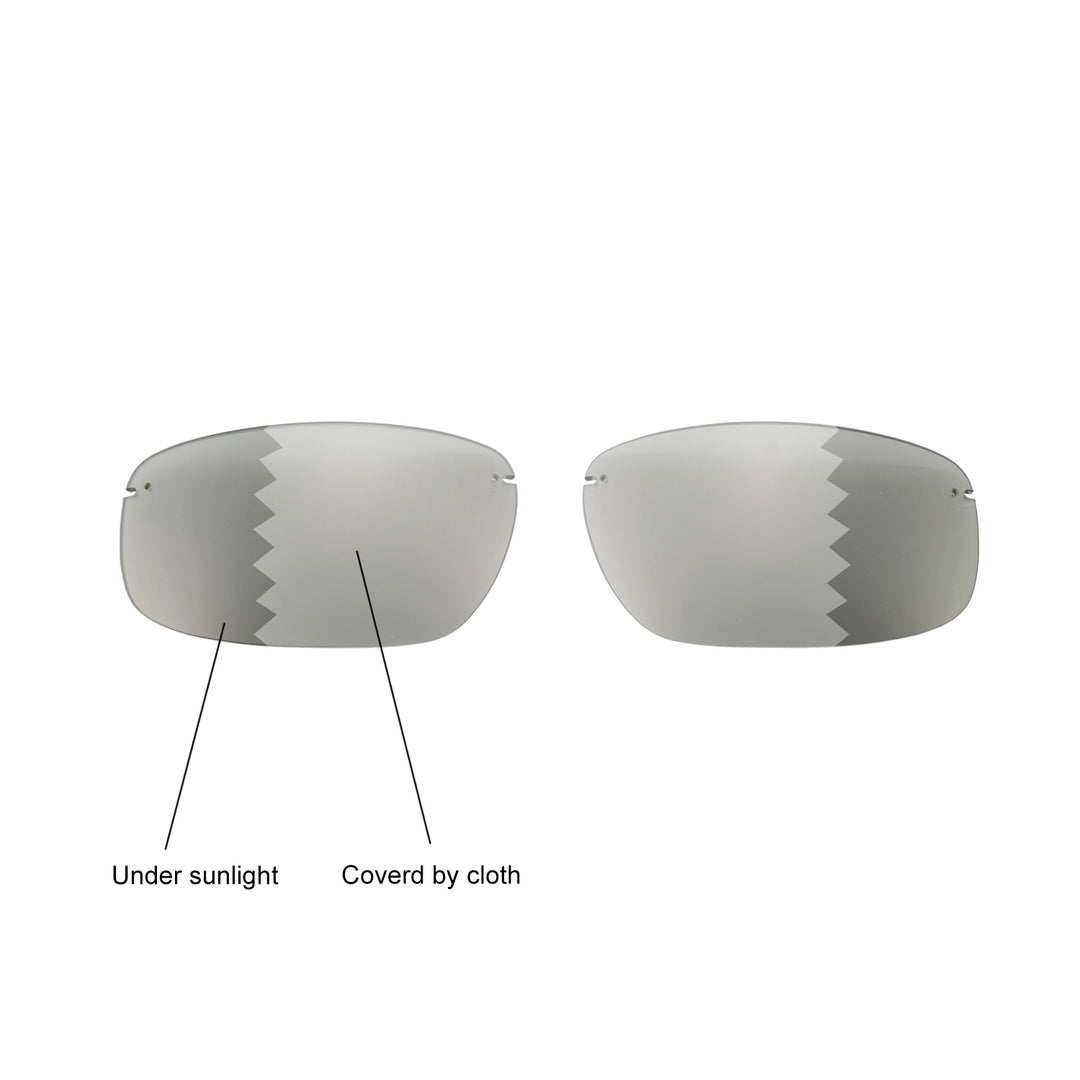 Transition Polarized