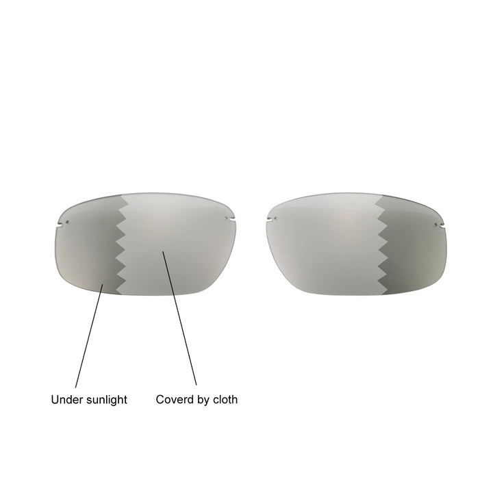 Transition Polarized