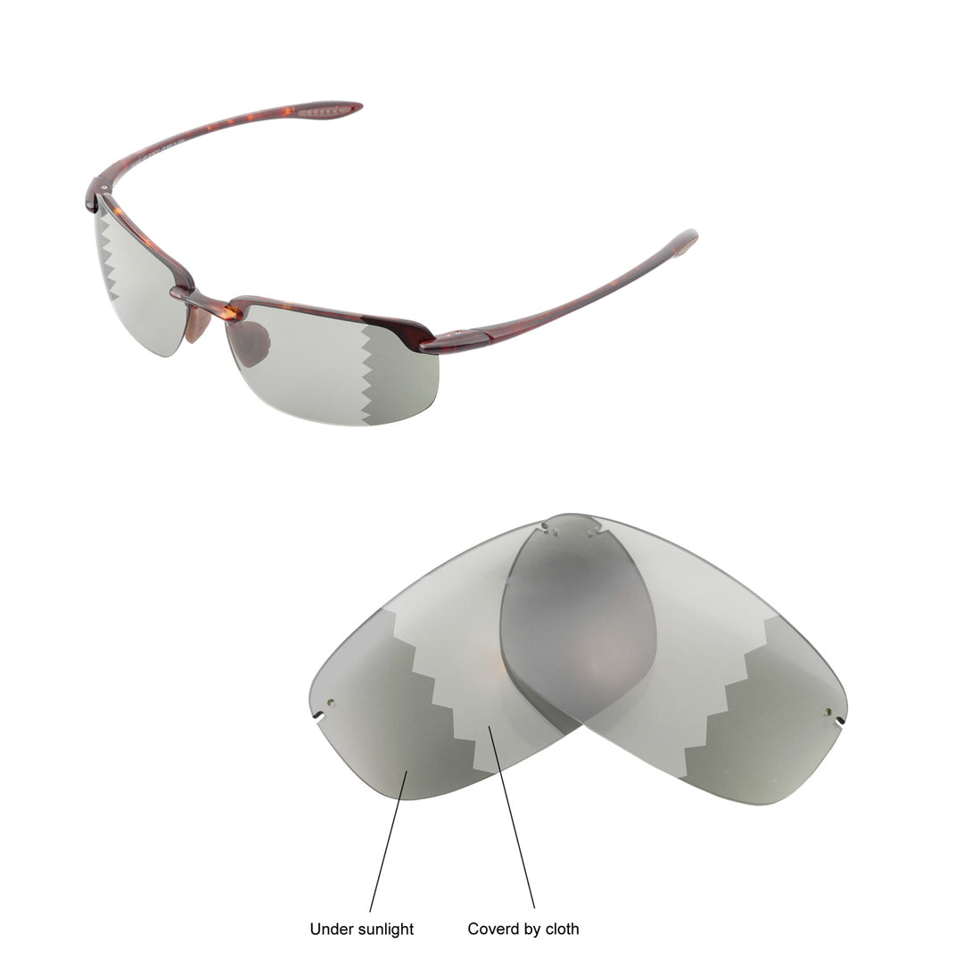 Transition Polarized