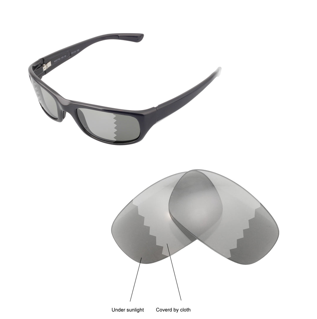 Transition Polarized